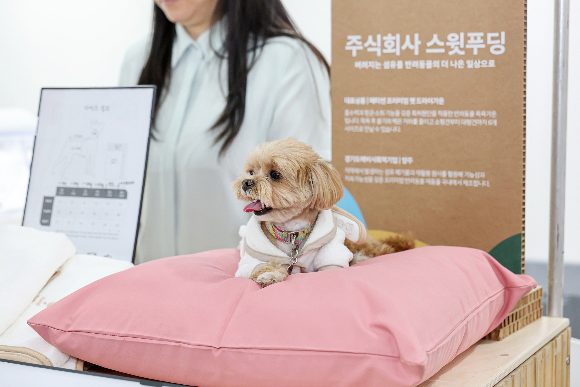 청년진로정책박람회 창업포럼 해당 썸네일입니다