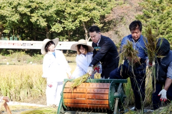 무수골 논 추수한마당 행사