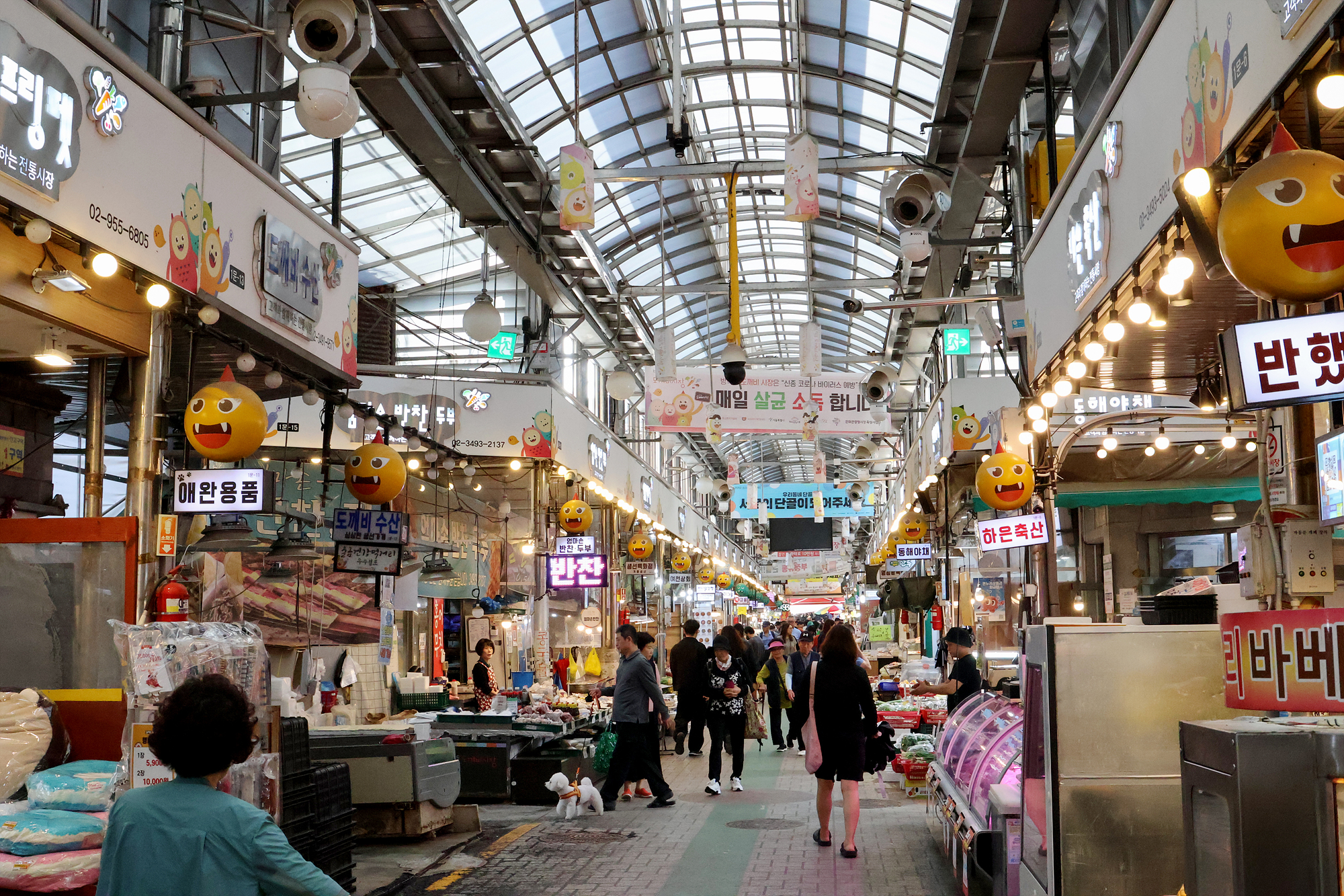 방학동 도깨비시장 방문
