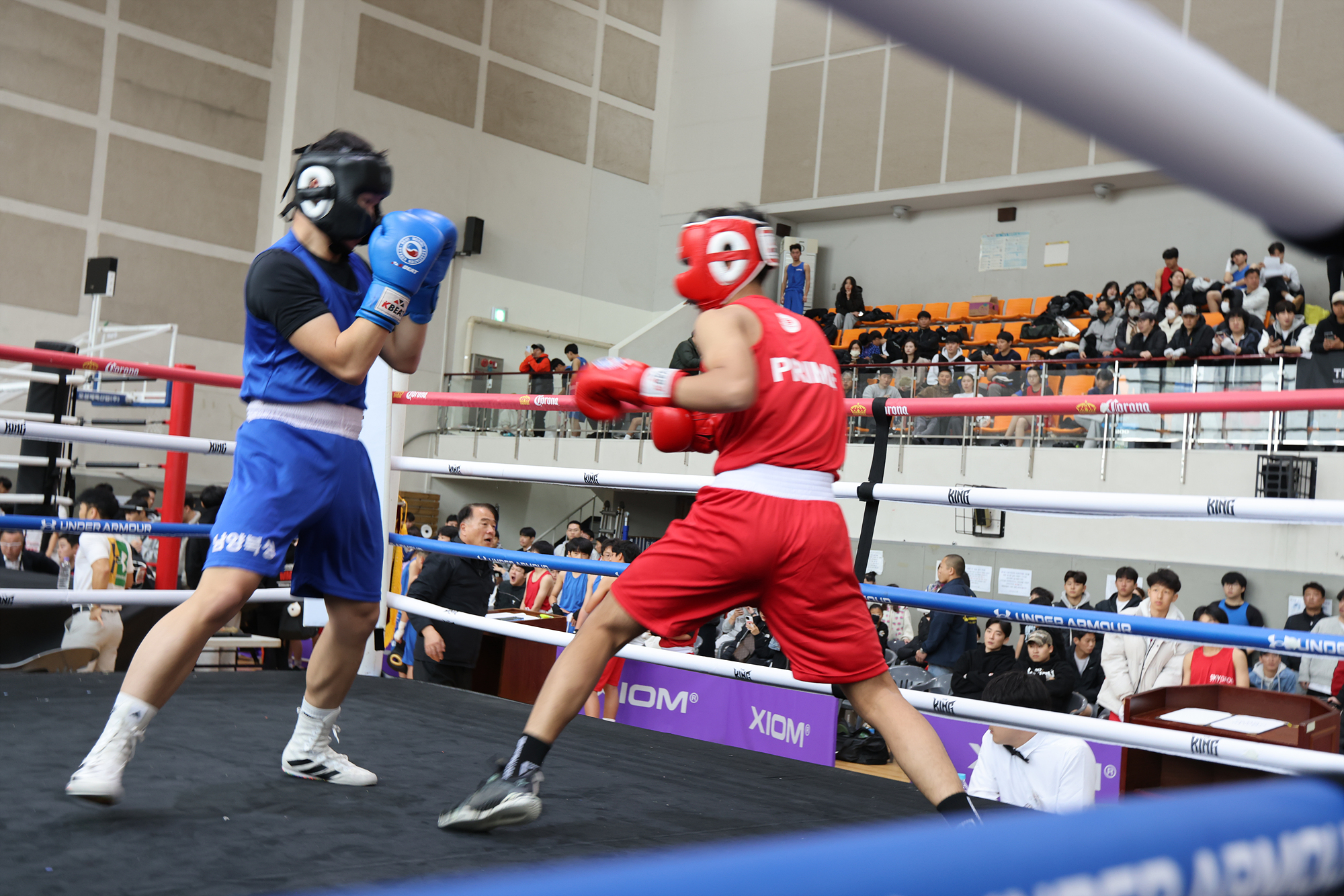 구청장배 무에타이 대회
