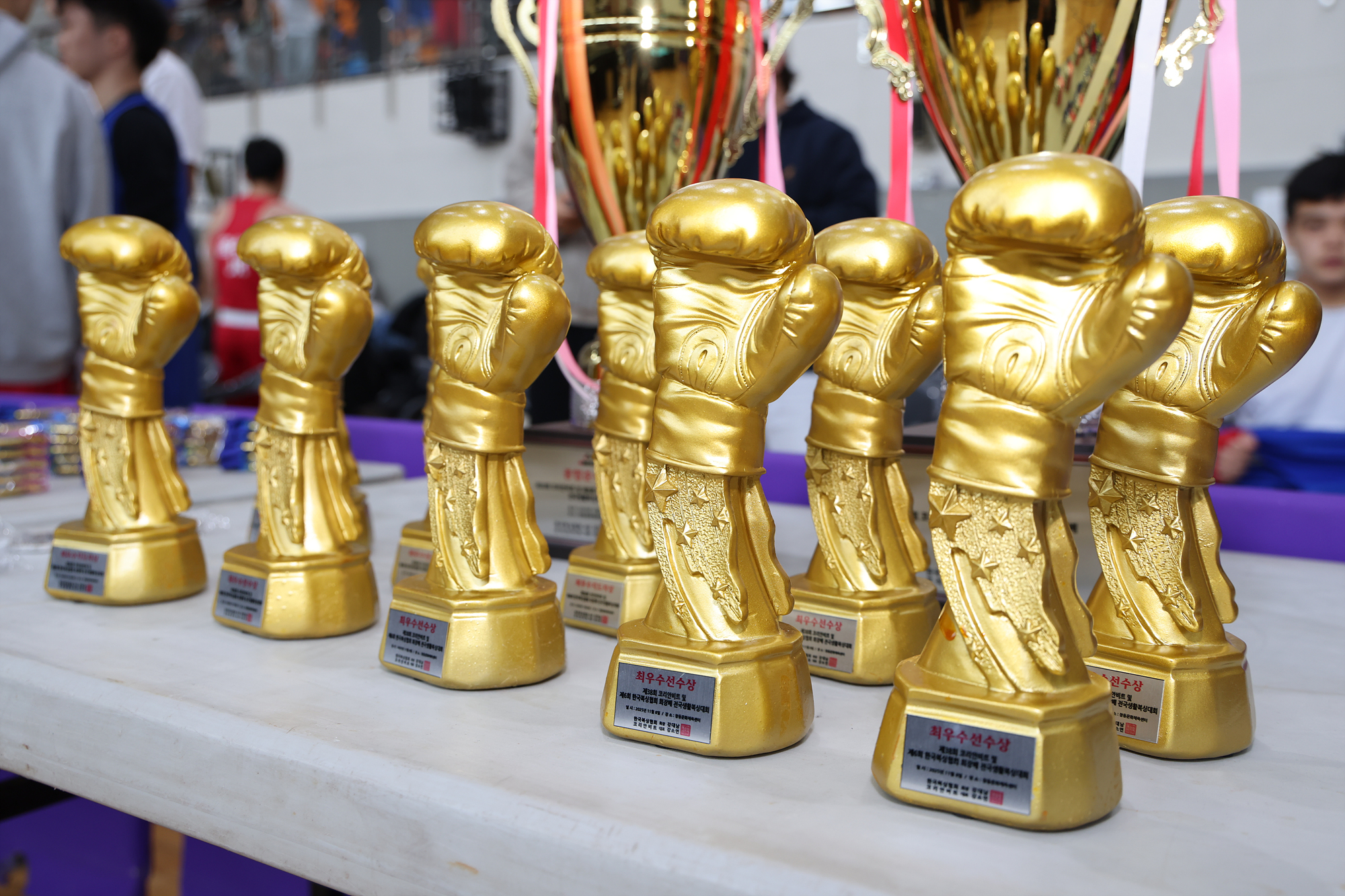 구청장배 무에타이 대회