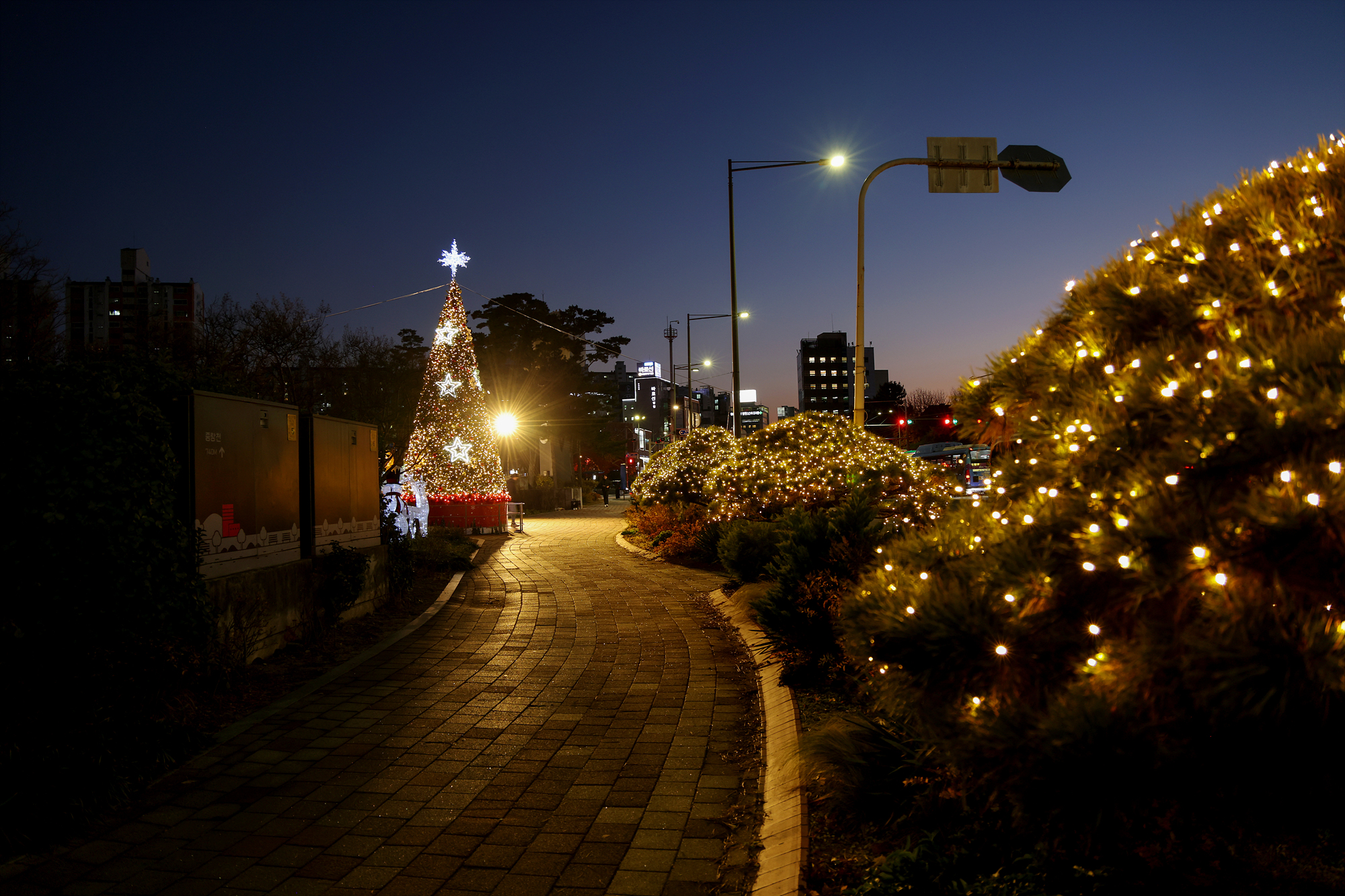 성탄트리점등식