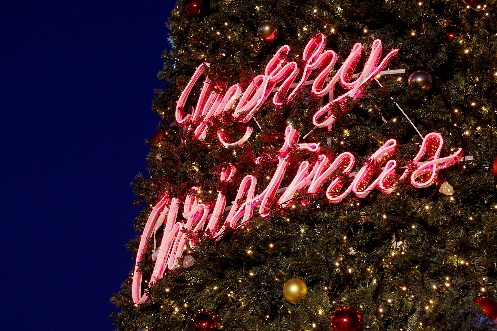 성탄트리점등식