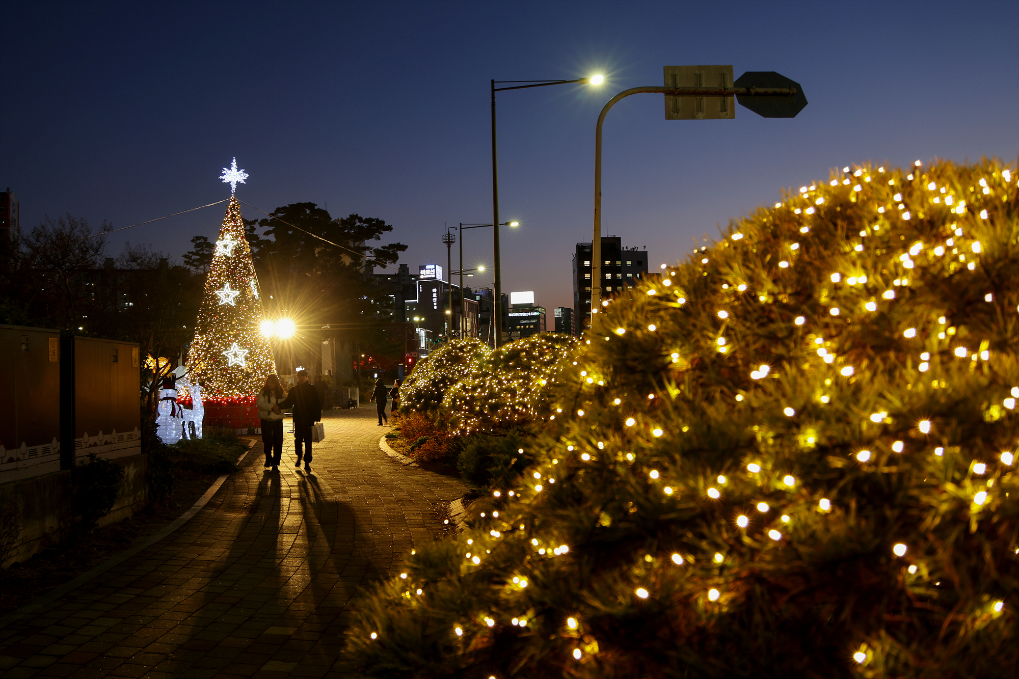 성탄트리점등식