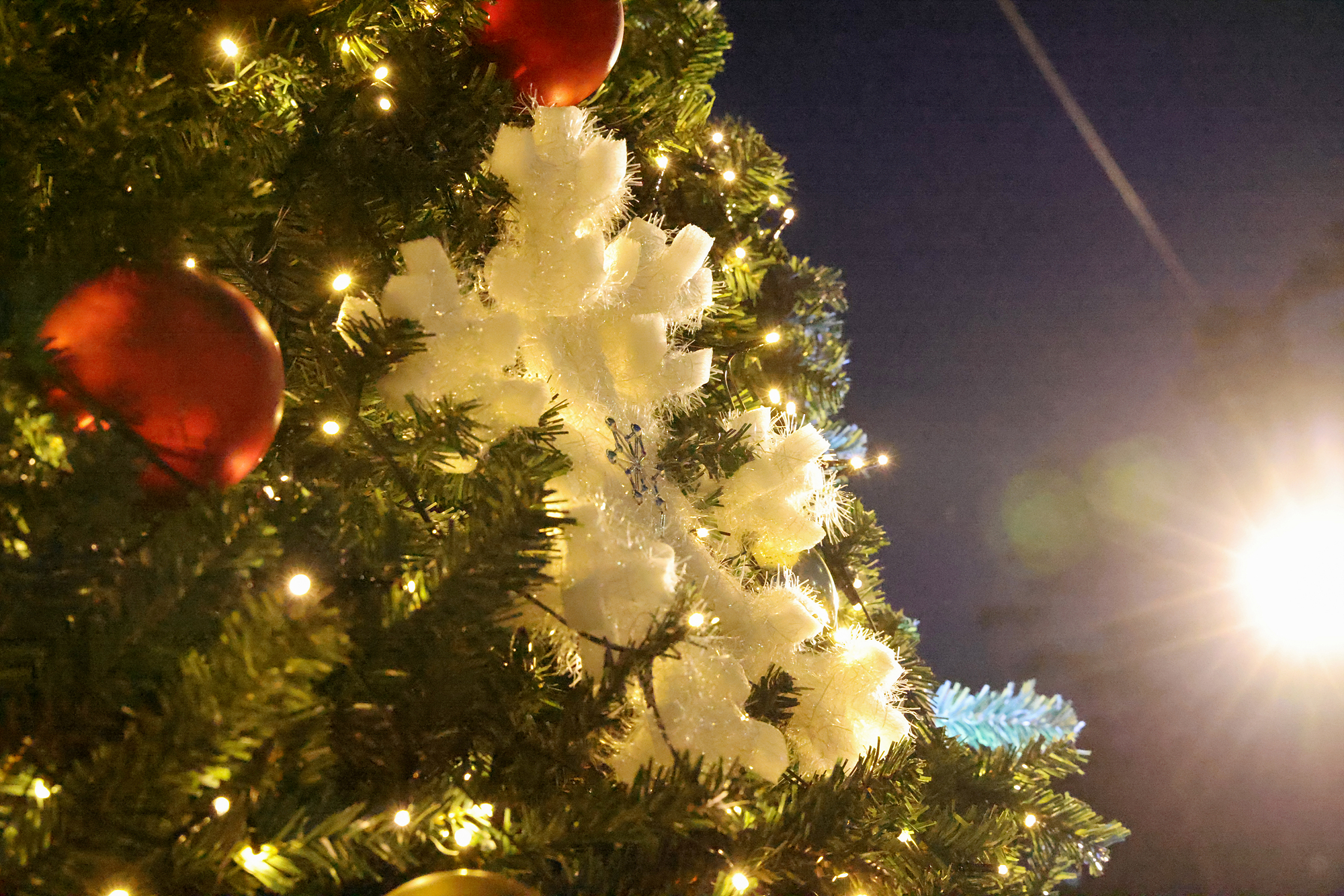 성탄트리점등식