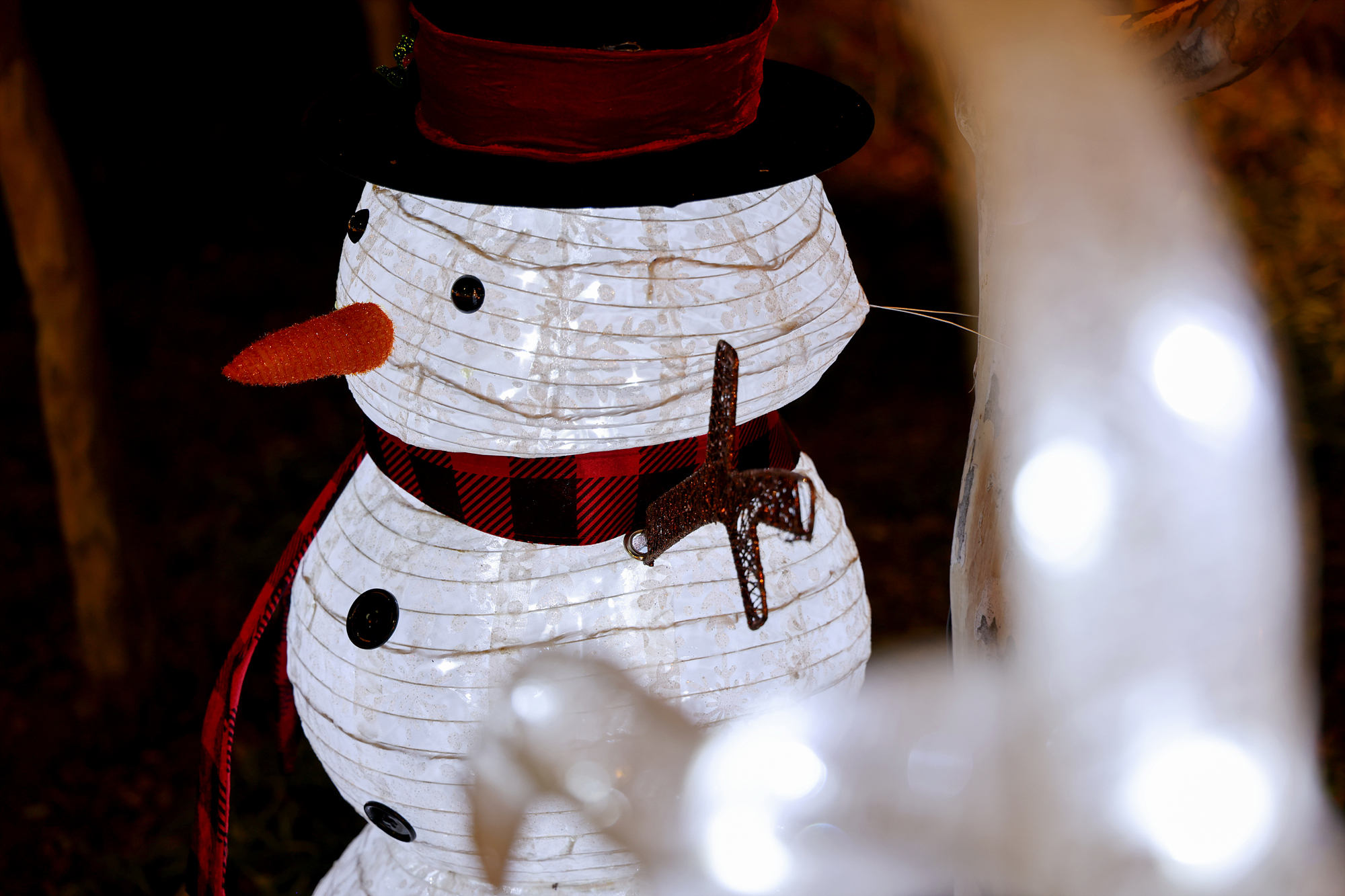 성탄트리점등식