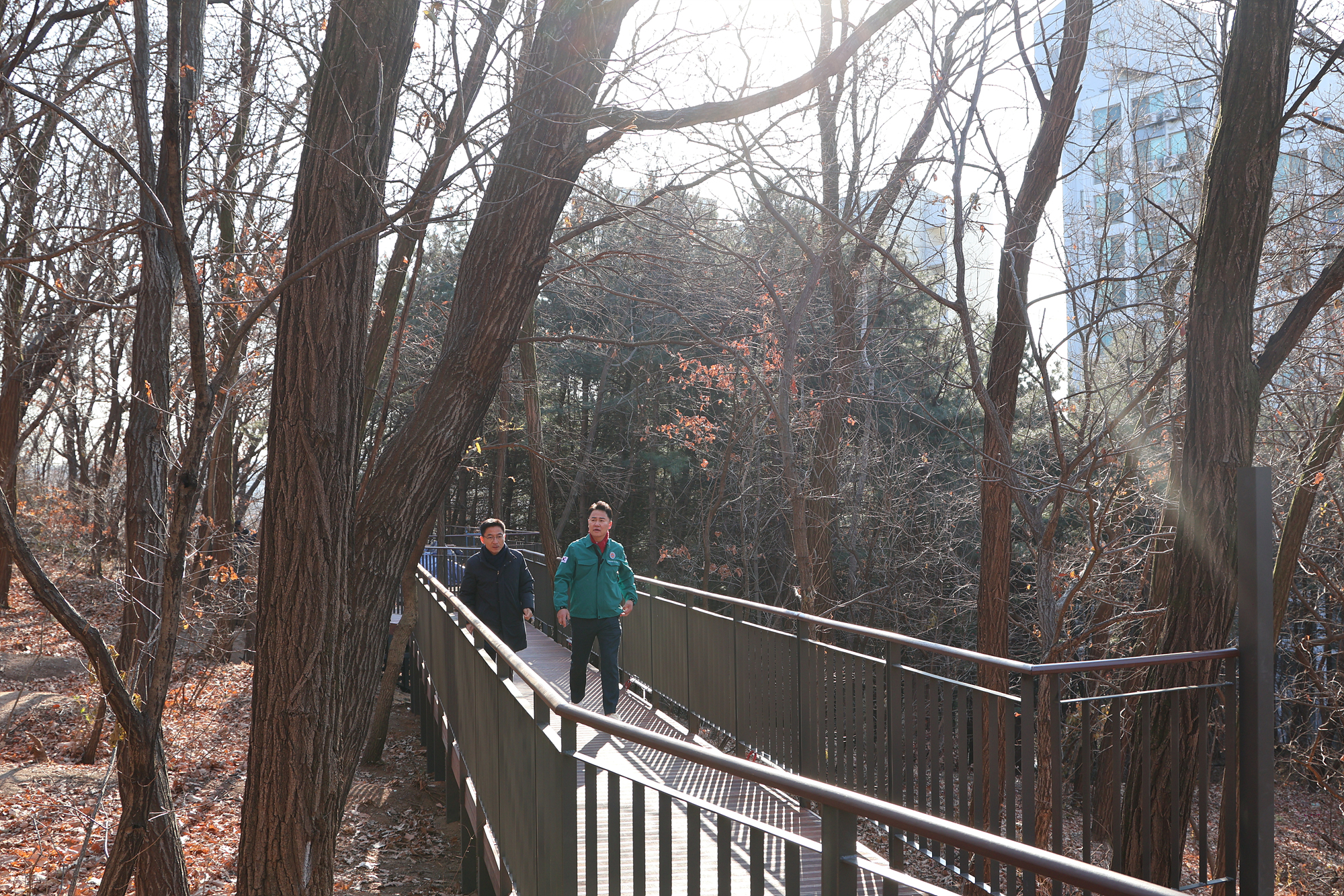 도봉둘레길(초안산구간) 조성사업 현장방문