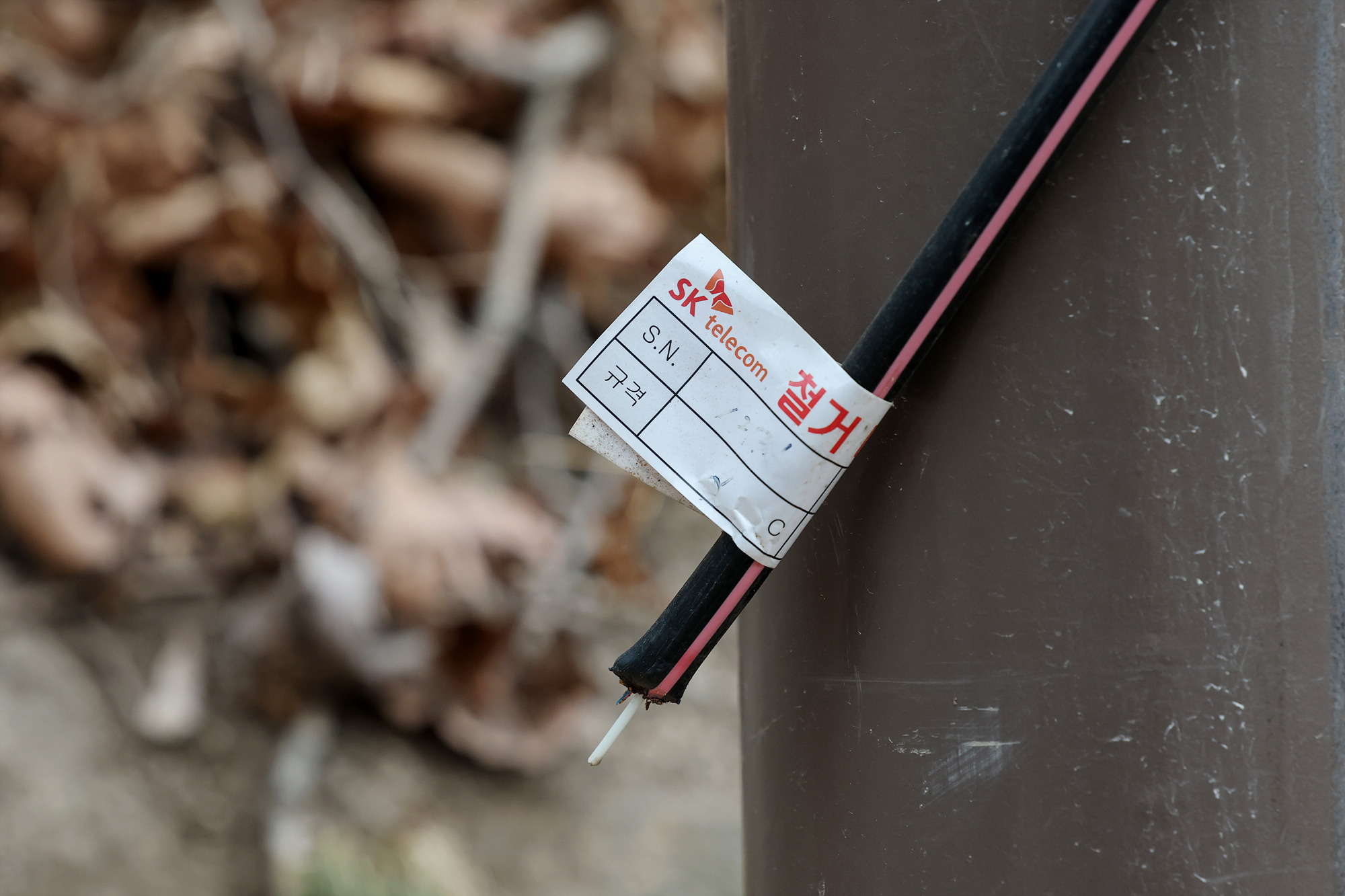 원통사 등반구간 안전점검