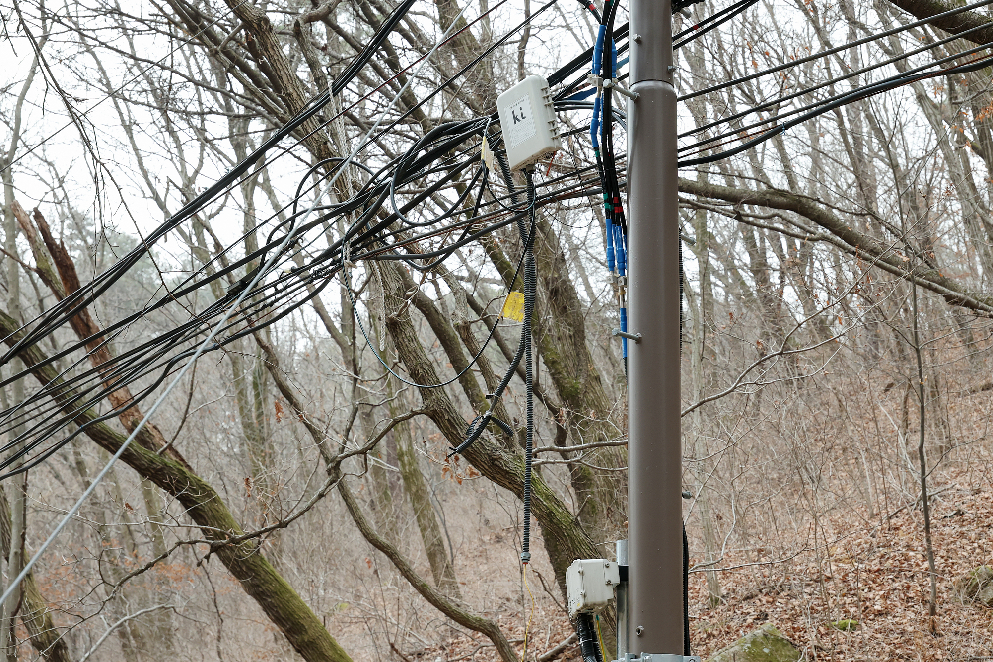 원통사 등반구간 안전점검