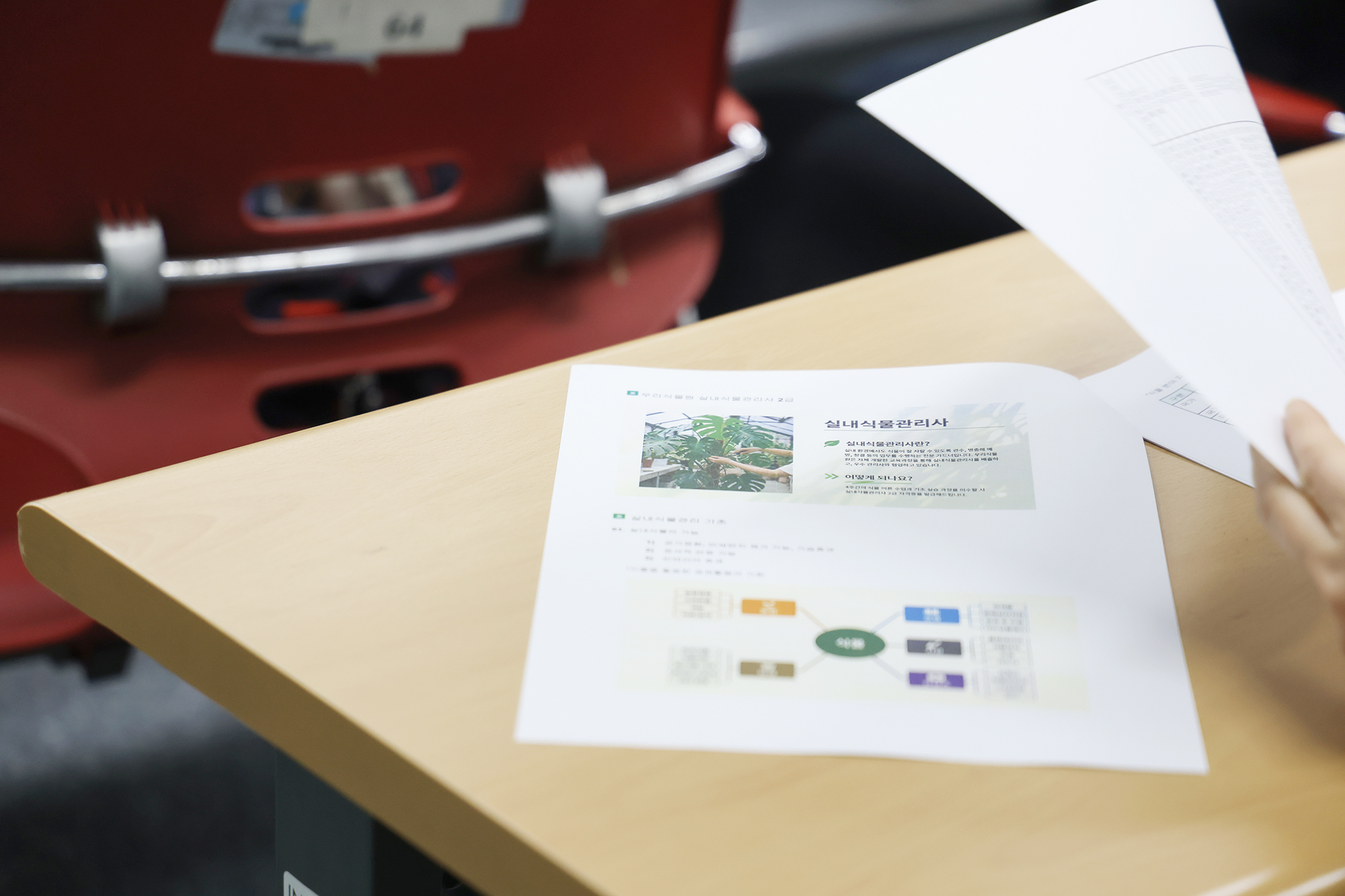 신중년 아카데미 '실내식물관리사 2급 자격증 과정' 개강식