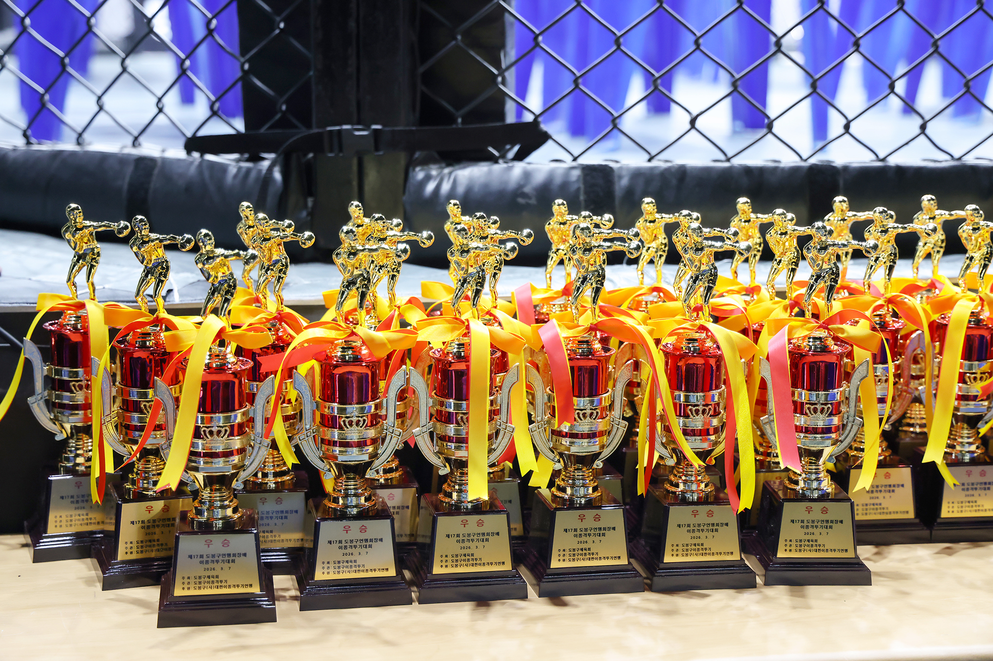 연맹회장배 이종격투기대회