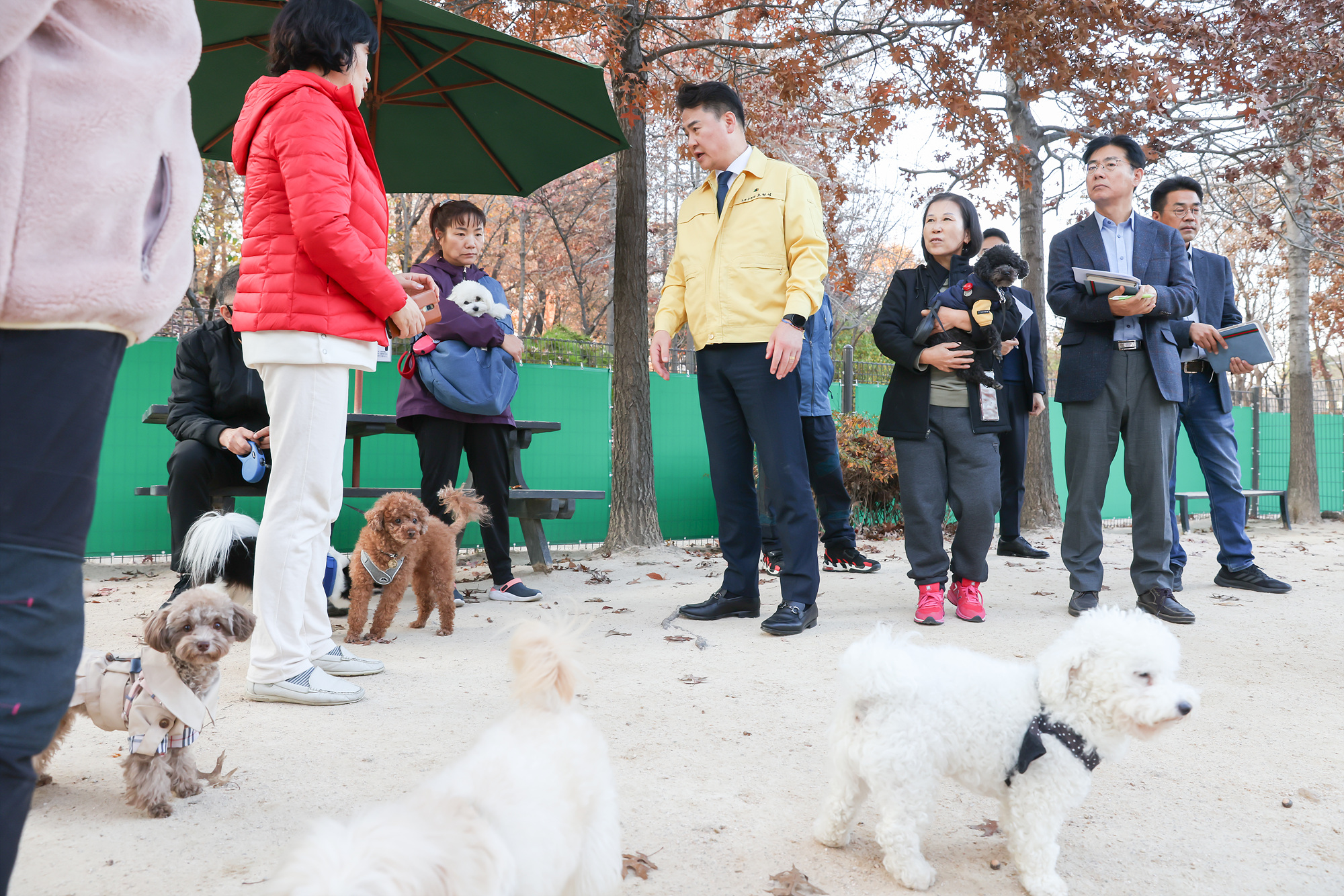 반려견놀이터 현장방문
