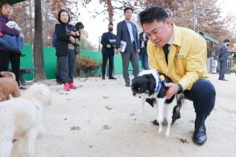 반려견놀이터 현장방문