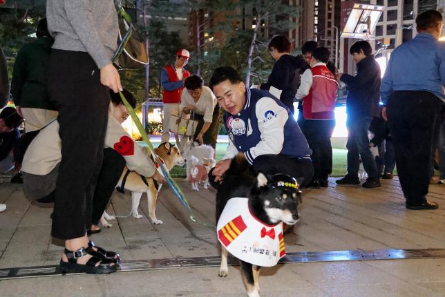 반려견 방범대 오써방 히어로 방범 활동