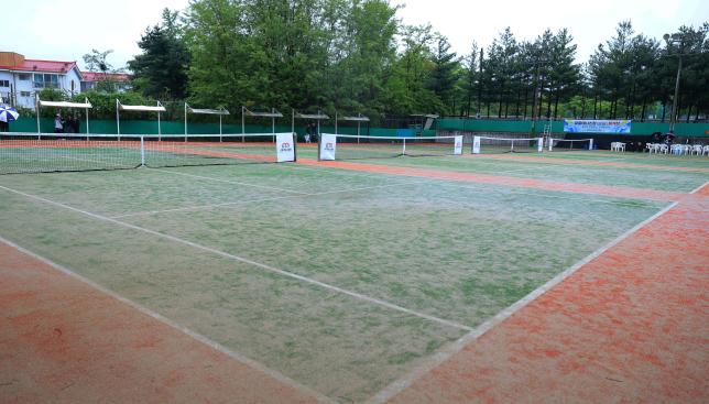 창골 테니스장 인조잔디 재개장