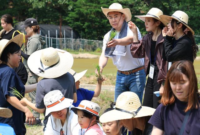 2025. 무수골 도심 속 모내기 체험 해당 이미지 입니다