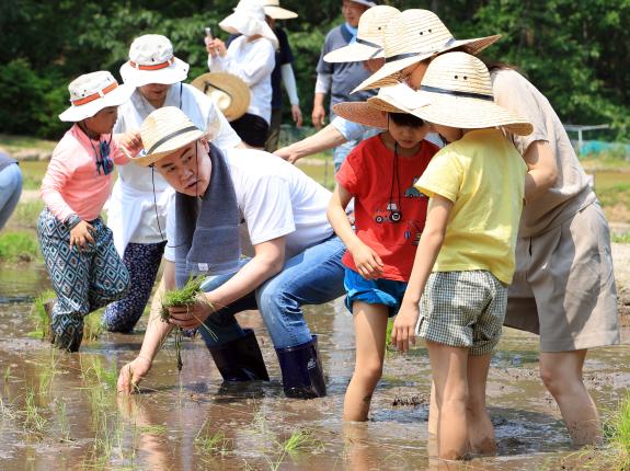 2025. 무수골 도심 속 모내기 체험 해당 이미지 입니다