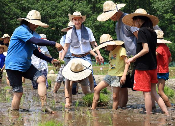 2025. 무수골 도심 속 모내기 체험 해당 이미지 입니다