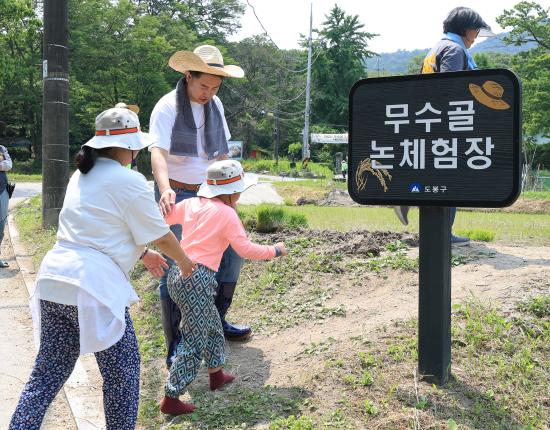 2025. 무수골 도심 속 모내기 체험 해당 이미지 입니다