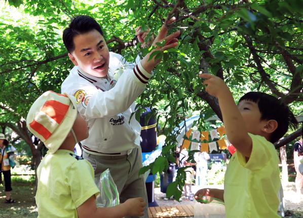 2025년 창2동 초안산 매실축제 해당 이미지 입니다
