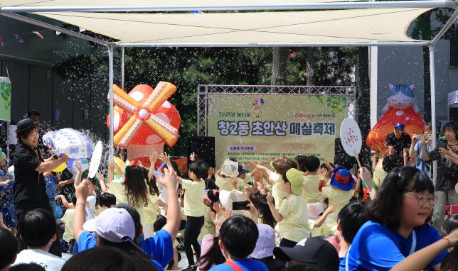 2025년 창2동 초안산 매실축제 해당 이미지 입니다