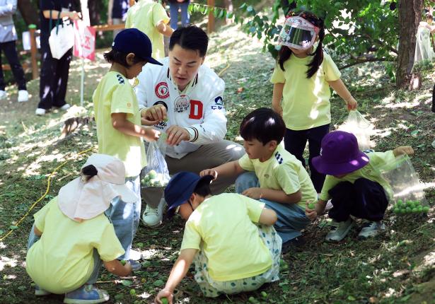 2025년 창2동 초안산 매실축제 해당 이미지 입니다